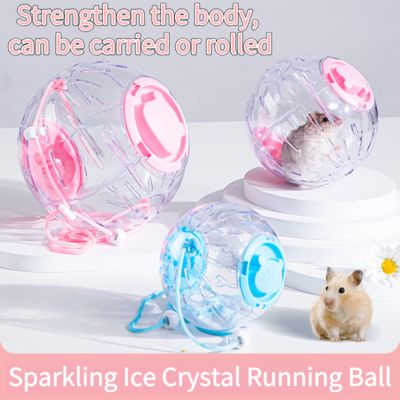 Transparent Syrian Hamster Exercise Ball Portable Running Wheel Toy For Gerbils, Small Pets