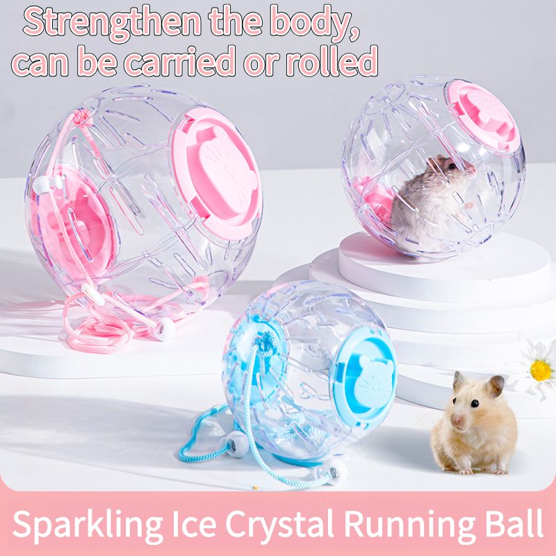 Transparent Syrian Hamster Exercise Ball Portable Running Wheel Toy For Gerbils, Small Pets
