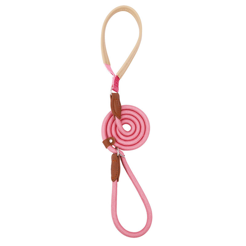 Anti-Pull Dog Leash with Padded Nylon and Leather Handle